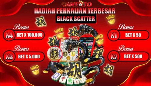 cantoto-slot.jpg